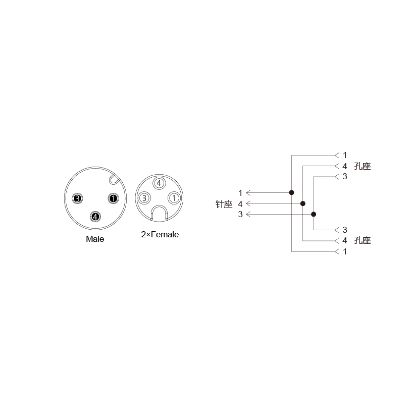 Y-EAM3-2SAF3-2-2/C00/PAR