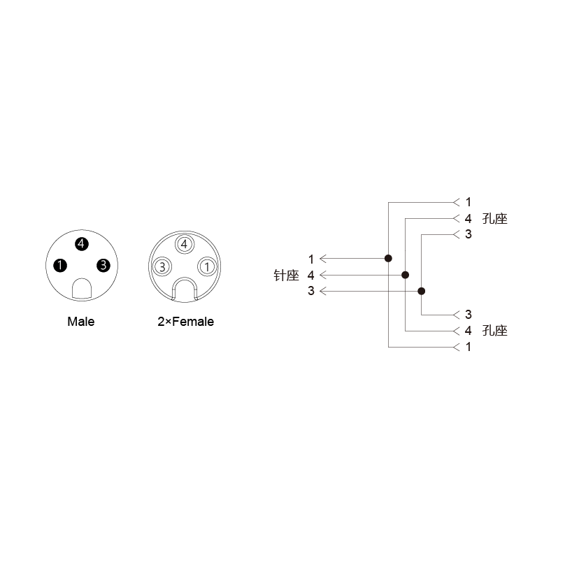 Y-SAM3-2SAF3-2-2/C00/PAR