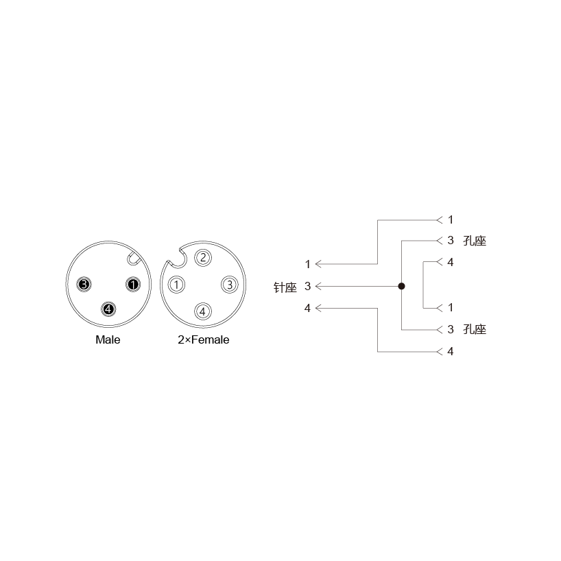 Y-EAM3-2EAF3-2-2/C00/SER