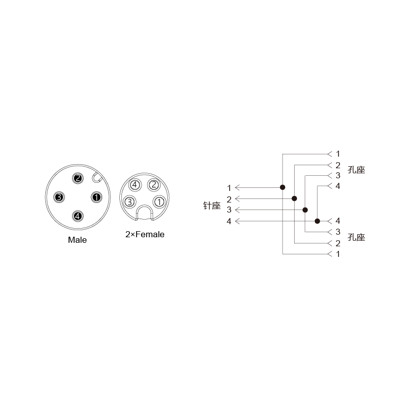 Y-EAM4-2SAF4-2-2/C00/PAR