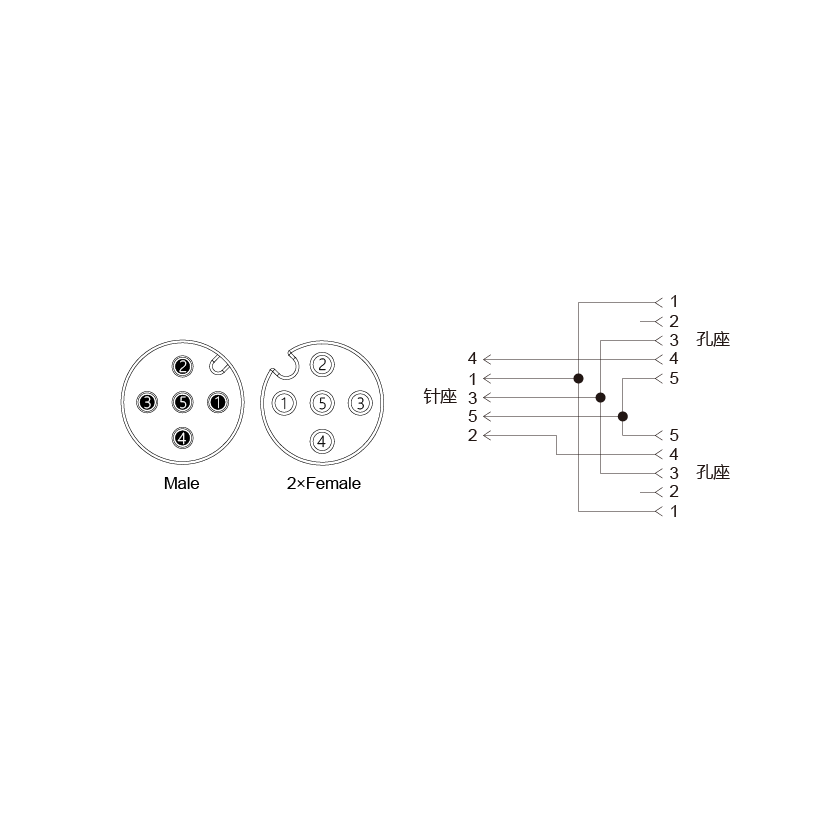 Y-EAM5-2EAF4.5-2-2/C00