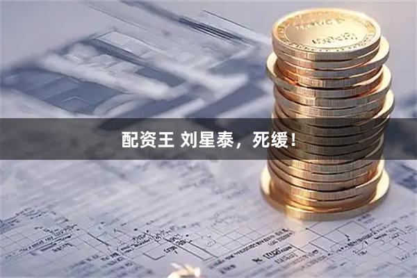 配资王 刘星泰，死缓！