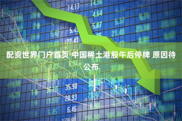 配资世界门户首页 中国稀土港股午后停牌 原因待公布