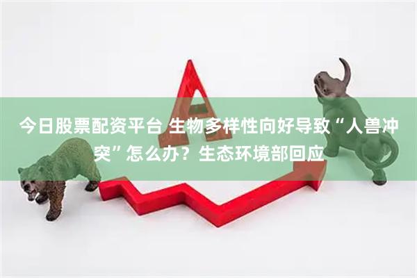 今日股票配资平台 生物多样性向好导致“人兽冲突”怎么办？生态环境部回应